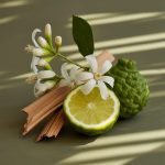 Air Freshener - Otrie Perfumes (500ml)